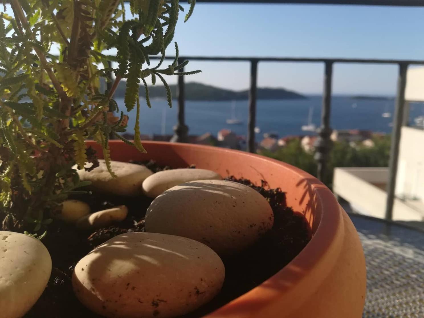 A Lovely And Cozy Room With A Breathtaking View Vis Eksteriør billede